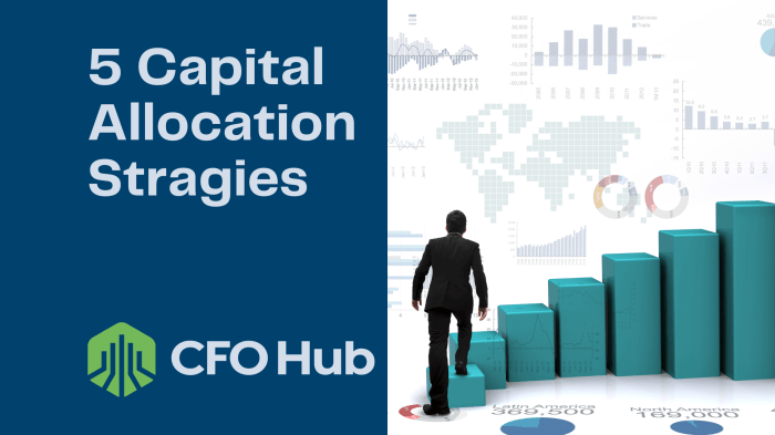 Capital allocation depot strategy sec model business structure edgar gov archives
